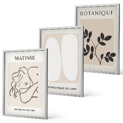 Gerahmtes bilderset Matisses stilvolle Pflanzenbilder
