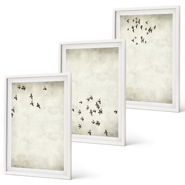 Gerahmtes bilderset Minimalistische Vogelmalerei