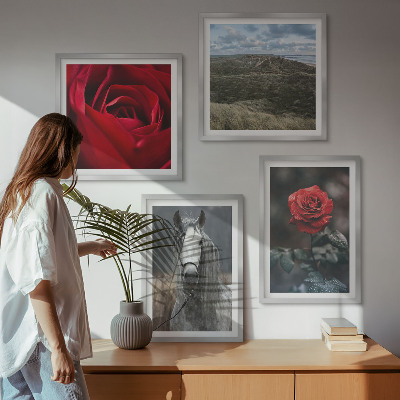Polyptychon mit rahmen Rote Rosen auf pferdegrauem Hintergrund