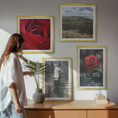 Polyptychon mit rahmen Rote Rosen auf pferdegrauem Hintergrund