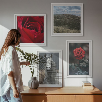 Polyptychon mit rahmen Rote Rosen auf pferdegrauem Hintergrund