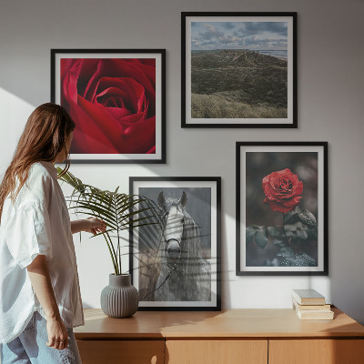 Polyptychon mit rahmen Rote Rosen auf pferdegrauem Hintergrund