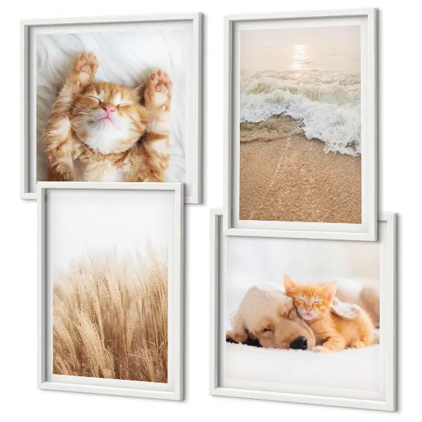 Wanddeko-Set mit niedlichen Tieren wie Katzen, Hunden und Strandmotiven