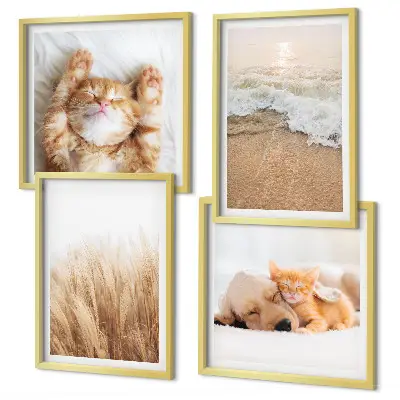 Wanddeko-Set mit niedlichen Tieren wie Katzen, Hunden und Strandmotiven