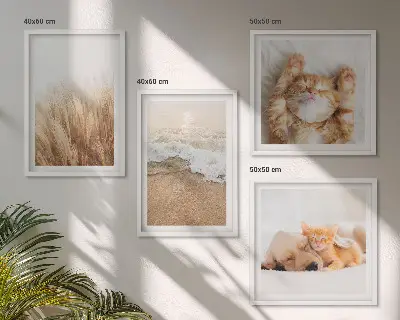 Wanddeko-Set mit niedlichen Tieren wie Katzen, Hunden und Strandmotiven