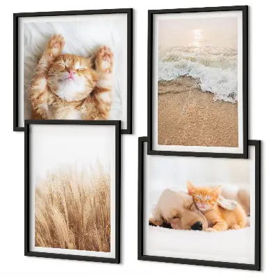 Wanddeko-Set mit niedlichen Tieren wie Katzen, Hunden und Strandmotiven