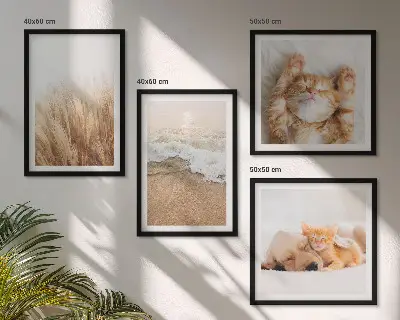 Wanddeko-Set mit niedlichen Tieren wie Katzen, Hunden und Strandmotiven