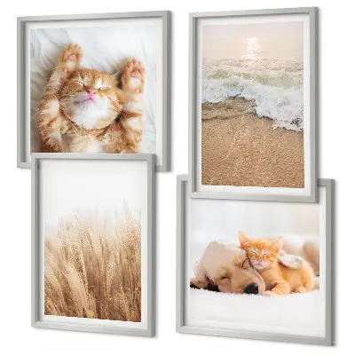 Wanddeko-Set mit niedlichen Tieren wie Katzen, Hunden und Strandmotiven