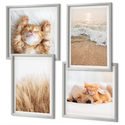 Wanddeko-set Niedliche Tiere, Katzen, Hunde, Strand
