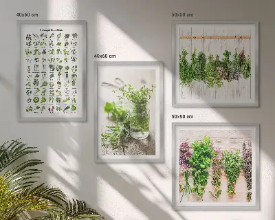 Wanddeko-Set mit getrockneten Kräutern für die Küche