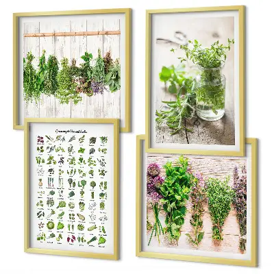 Wanddeko-Set mit getrockneten Kräutern für die Küche