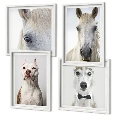 Wanddeko-Set mit eleganten Porträts von Hunden und Pferden