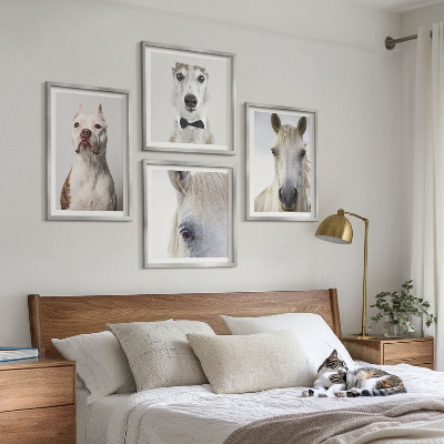 Wanddeko-set Elegante Porträts von Hunden und Pferden