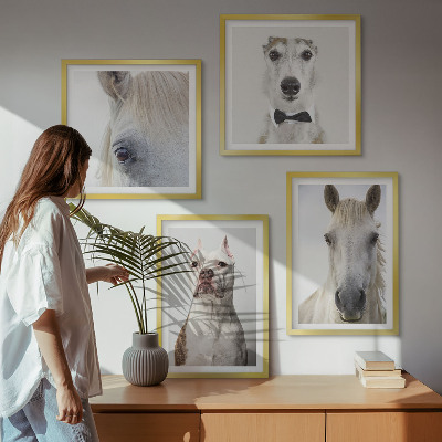 Wanddeko-set Elegante Porträts von Hunden und Pferden