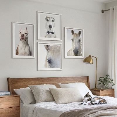 Wanddeko-set Elegante Porträts von Hunden und Pferden