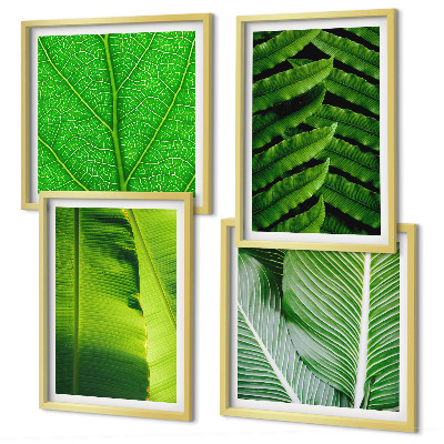 Wanddeko-set Nahaufnahme von tropischen Blättern