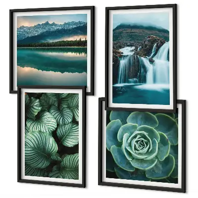 Wanddeko-Set Nahaufnahmen von Sukkulenten-Blättern