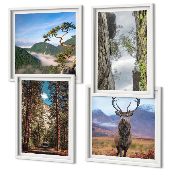 Wanddeko-set Straße Wald Berge Hirsch Natur