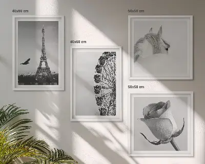 Wanddeko-Set mit Motiven von Rose, Eiffelturm, Pferd und Riesenrad in Schwarz-Weiß