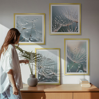 Wanddeko-set Wassertropfen auf Löwenzahnsprossen