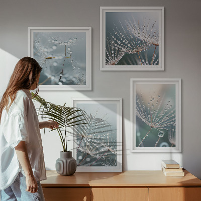 Wanddeko-set Wassertropfen auf Löwenzahnsprossen