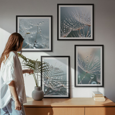 Wanddeko-set Wassertropfen auf Löwenzahnsprossen