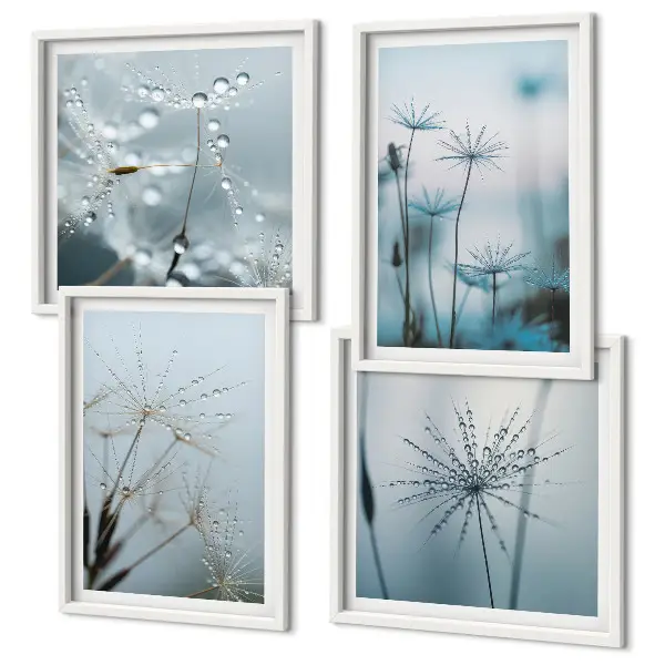 Wanddeko-Set Löwenzahn mit Wassertropfen