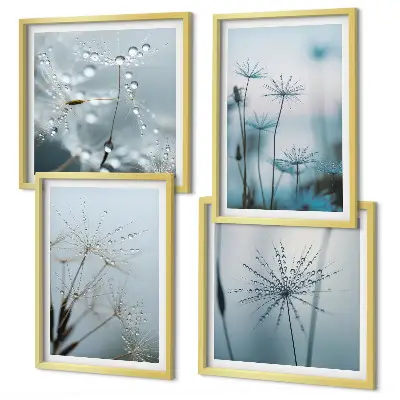 Wanddeko-Set Löwenzahn mit Wassertropfen