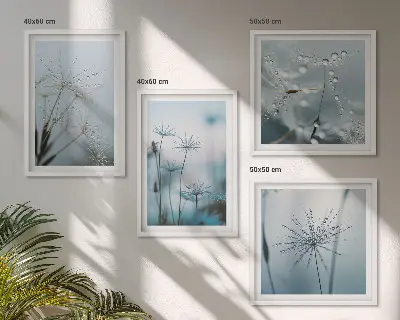 Wanddeko-Set Löwenzahn mit Wassertropfen