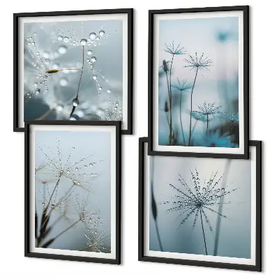 Wanddeko-Set Löwenzahn mit Wassertropfen
