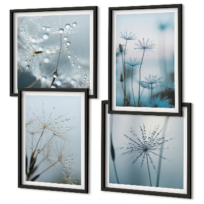 Wanddeko-set Löwenzahn-Wassertropfen