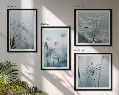 Wanddeko-Set Löwenzahn mit Wassertropfen