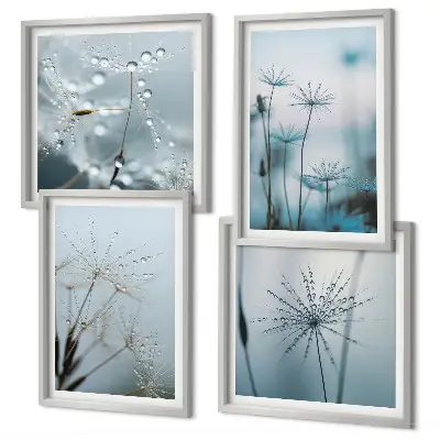 Wanddeko-Set Löwenzahn mit Wassertropfen