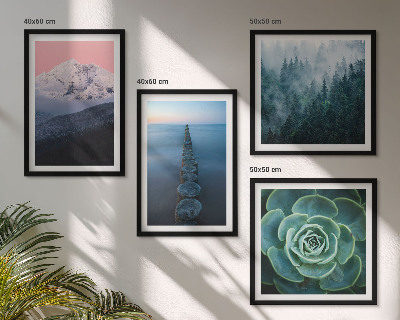 Wanddeko-set Berge, rosa Himmel, Wasser, Sukkulente