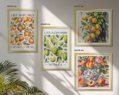 Wanddeko-set Frische, farbenfrohe Zitrusfrüchte