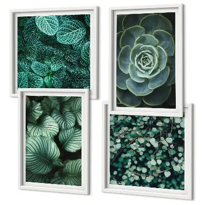 Wanddeko-Set mit grünen saftigen Blättern