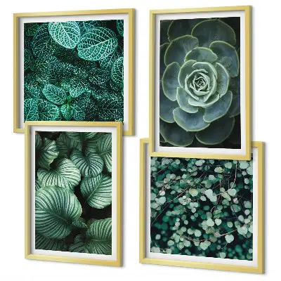 Wanddeko-Set mit grünen saftigen Blättern