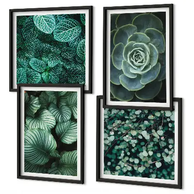 Wanddeko-Set mit grünen saftigen Blättern