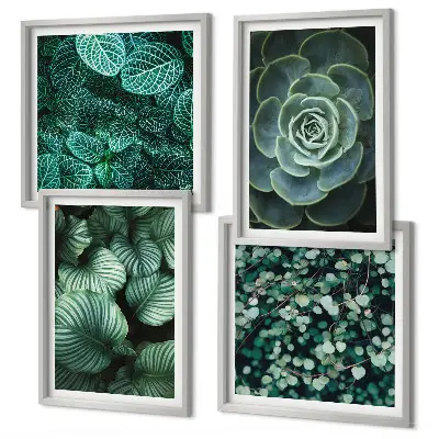 Wanddeko-Set mit grünen saftigen Blättern