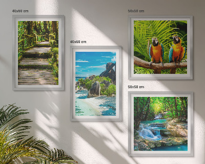 Wanddeko-set Tropischer Wald Papageienwasserfall