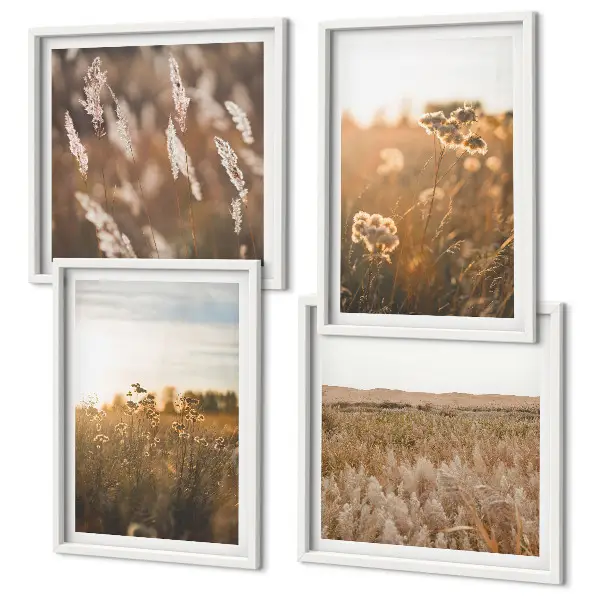 Sommerwiesenblumen bei Sonnenuntergang als gerahmtes Polyptychon