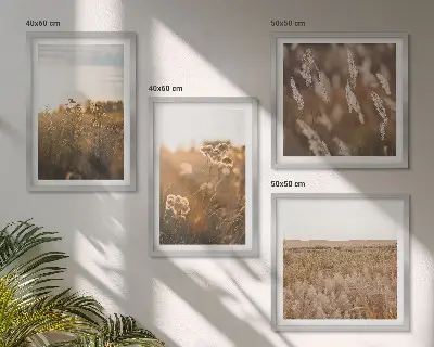 Sommerwiesenblumen bei Sonnenuntergang als gerahmtes Polyptychon