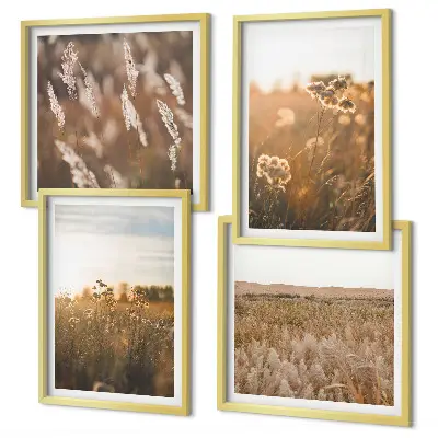 Sommerwiesenblumen bei Sonnenuntergang als gerahmtes Polyptychon
