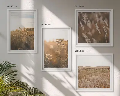 Sommerwiesenblumen bei Sonnenuntergang als gerahmtes Polyptychon