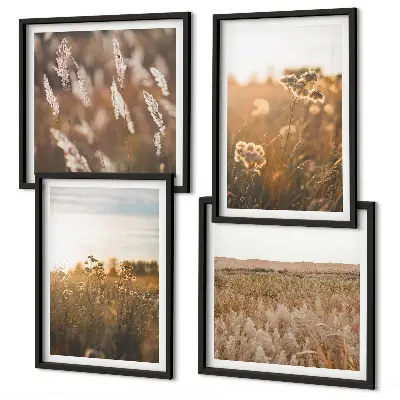 Sommerwiesenblumen bei Sonnenuntergang als gerahmtes Polyptychon