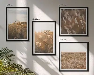 Sommerwiesenblumen bei Sonnenuntergang als gerahmtes Polyptychon