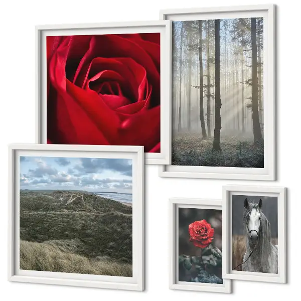 Bildergalerie-Set für die Wand mit verschiedenen Naturblumen-Motiven