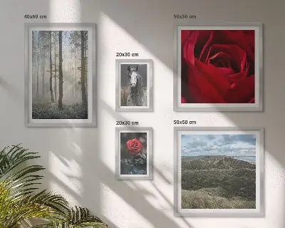 Bildergalerie-Set für die Wand mit verschiedenen Naturblumen-Motiven