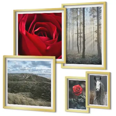 Bildergalerie-Set für die Wand mit verschiedenen Naturblumen-Motiven