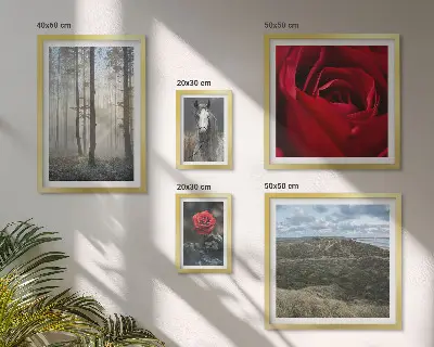 Bildergalerie-Set für die Wand mit verschiedenen Naturblumen-Motiven